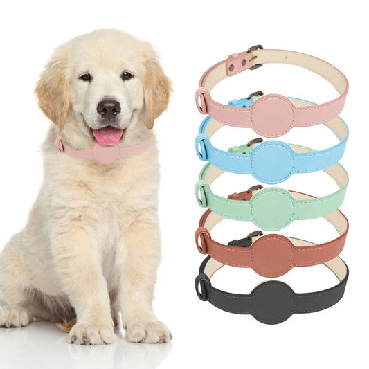 Collare per cane elegante con supporto Airtag integrato per il tracciamento definitivo